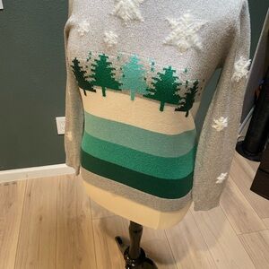 Gray and Green Women's SweaterTalbots Wintery  Crewneck Sweater
